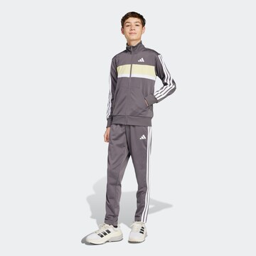 ADIDAS SPORTSWEAR Set 'Seasonal Essentials Tiberio' in Gold: front