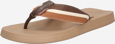 bézs / barna / karamell HAVAIANAS Ujjelválasztó-pántos szandál 'NEW URBAN WAY', Termék nézet