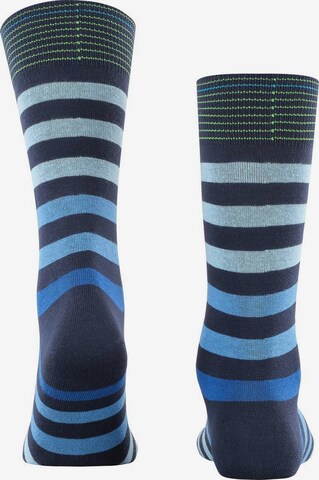 Chaussettes BURLINGTON en bleu