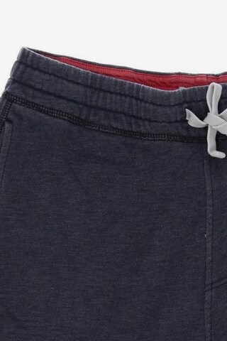 HOLLISTER Shorts in 33 in Grey
