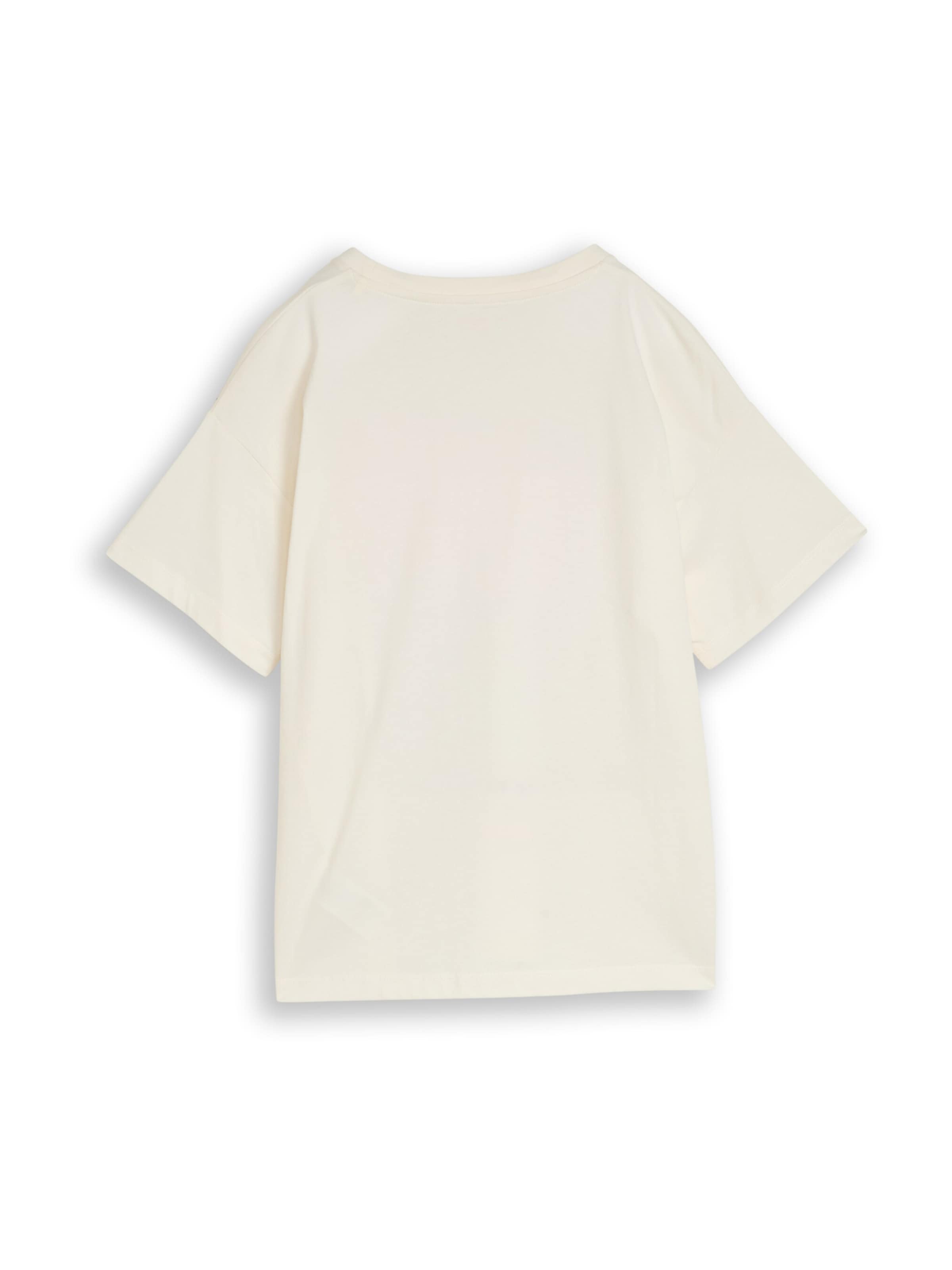 TOM TAILOR Shirt in White