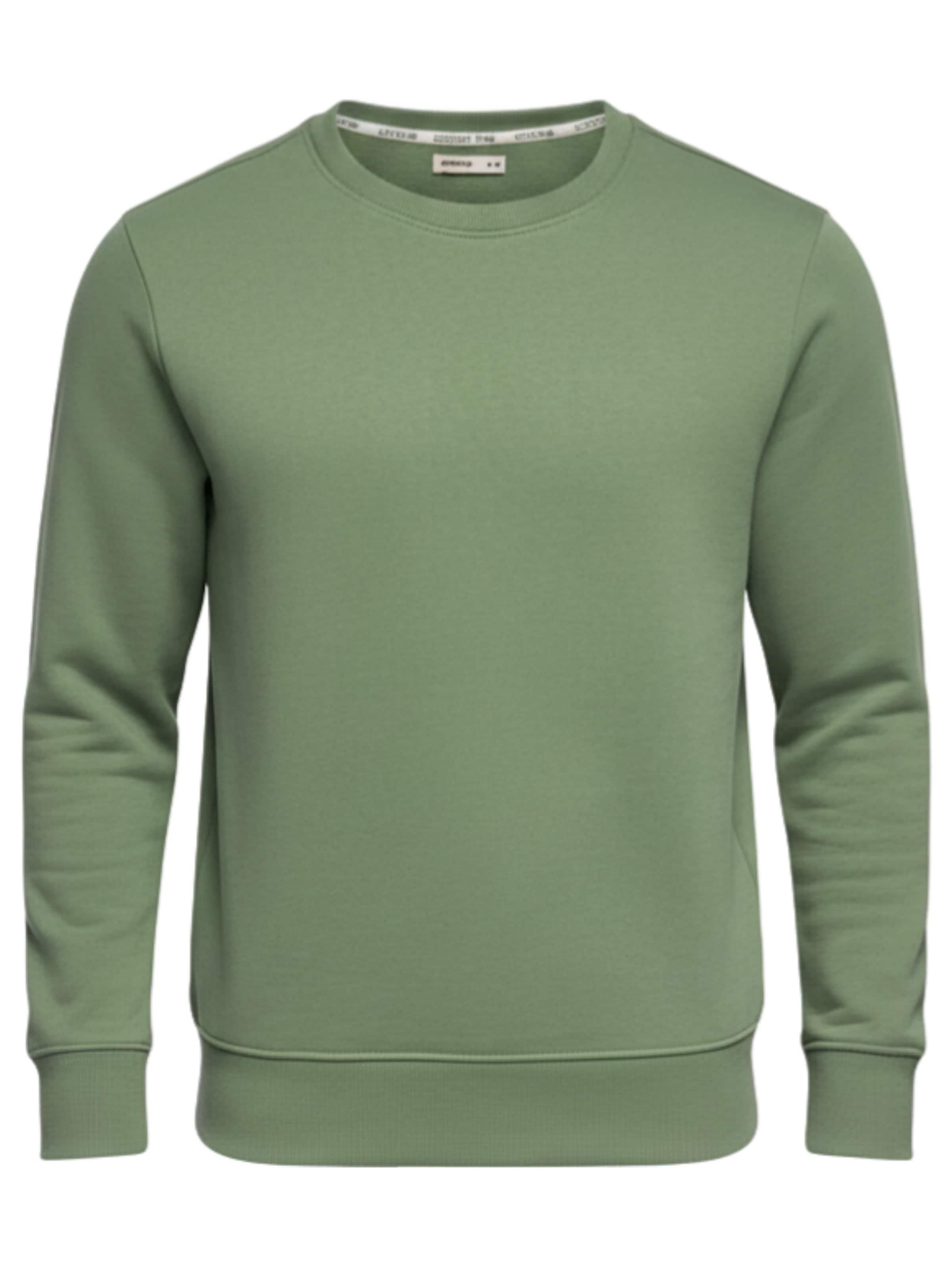 Ombre Sweatshirt in Groen: voorkant