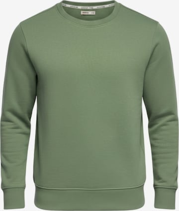 Ombre Sweatshirt in Groen: voorkant