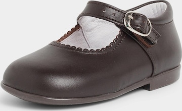 Pisamonas Polobotky – hnědá: přední strana
