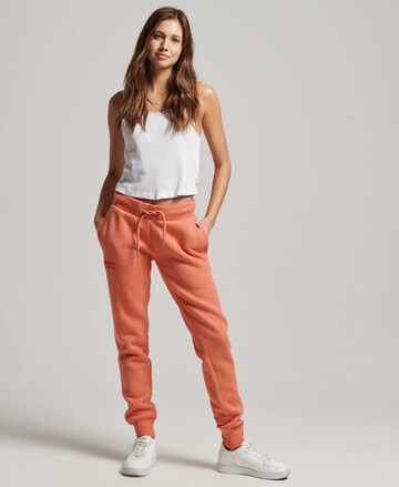 Superdry Tapered Workout Pants in Orange