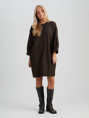 Peppercorn Dress 'Silva' in Brown