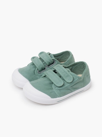 Sneaker di Pisamonas in verde