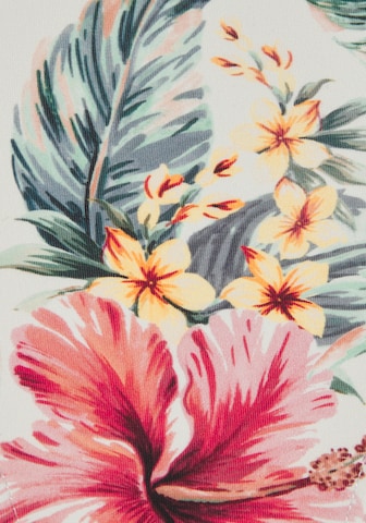 Pantaloncini per bikini di LASCANA in colori misti