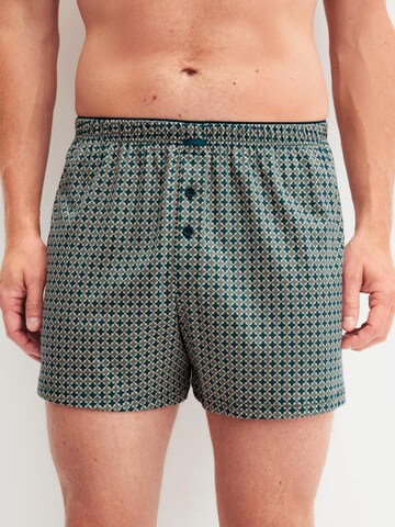 CALIDA Boxershorts 'Cotton Choice' in Grün: Vorderseite