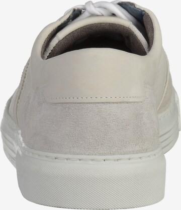 CAMEL ACTIVE Sneakers in White