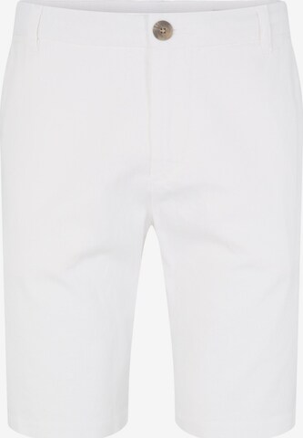 Regular Pantalon TOM TAILOR en blanc : devant