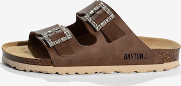 Bayton Pistokkaat 'STRASS ATLAS' värissä ruskea: etupuoli