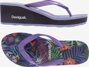 Desigual Sandals & High-Heeled Sandals in 41 in Purple: front