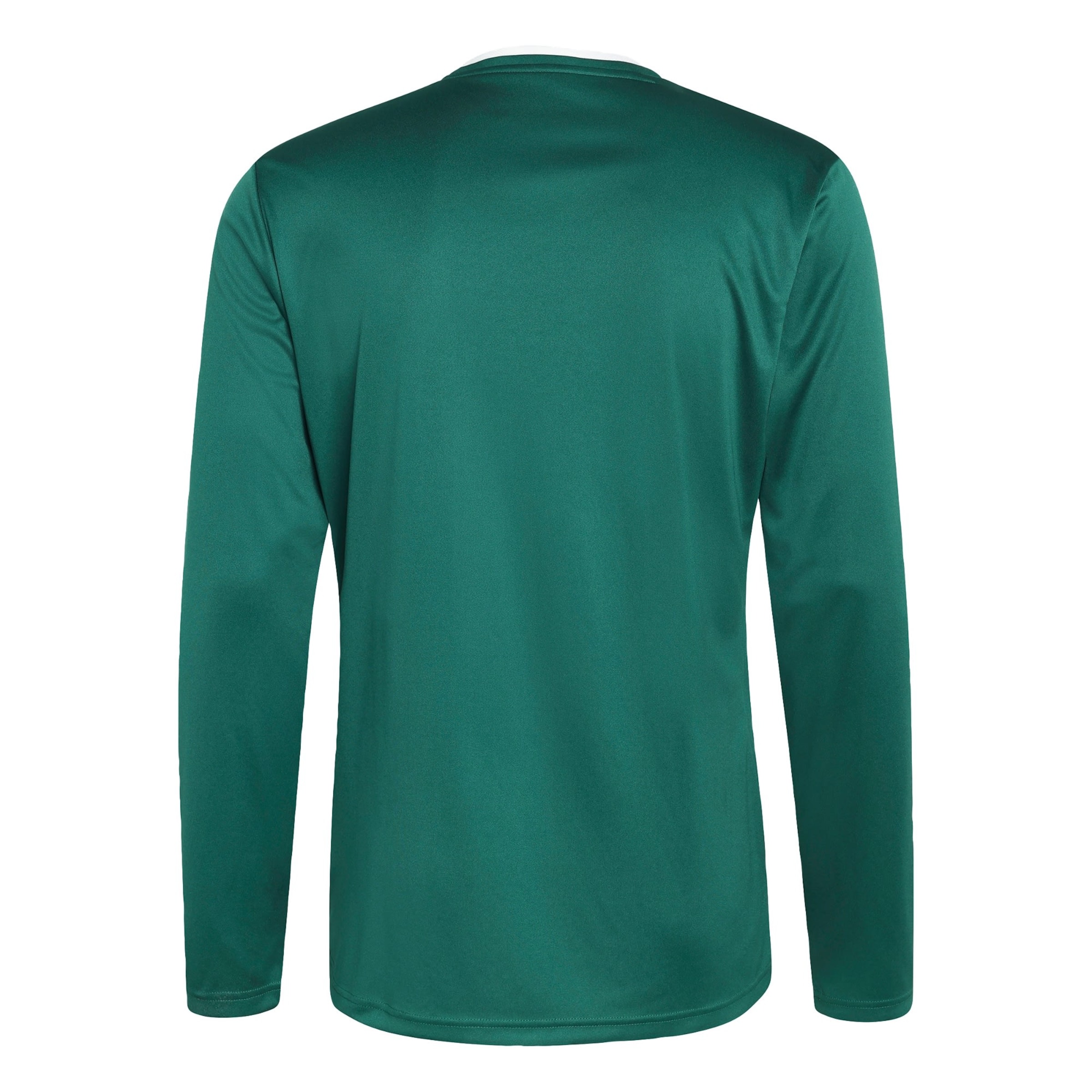 Tricou funcțional 'Entrada26' de la ADIDAS PERFORMANCE pe verde