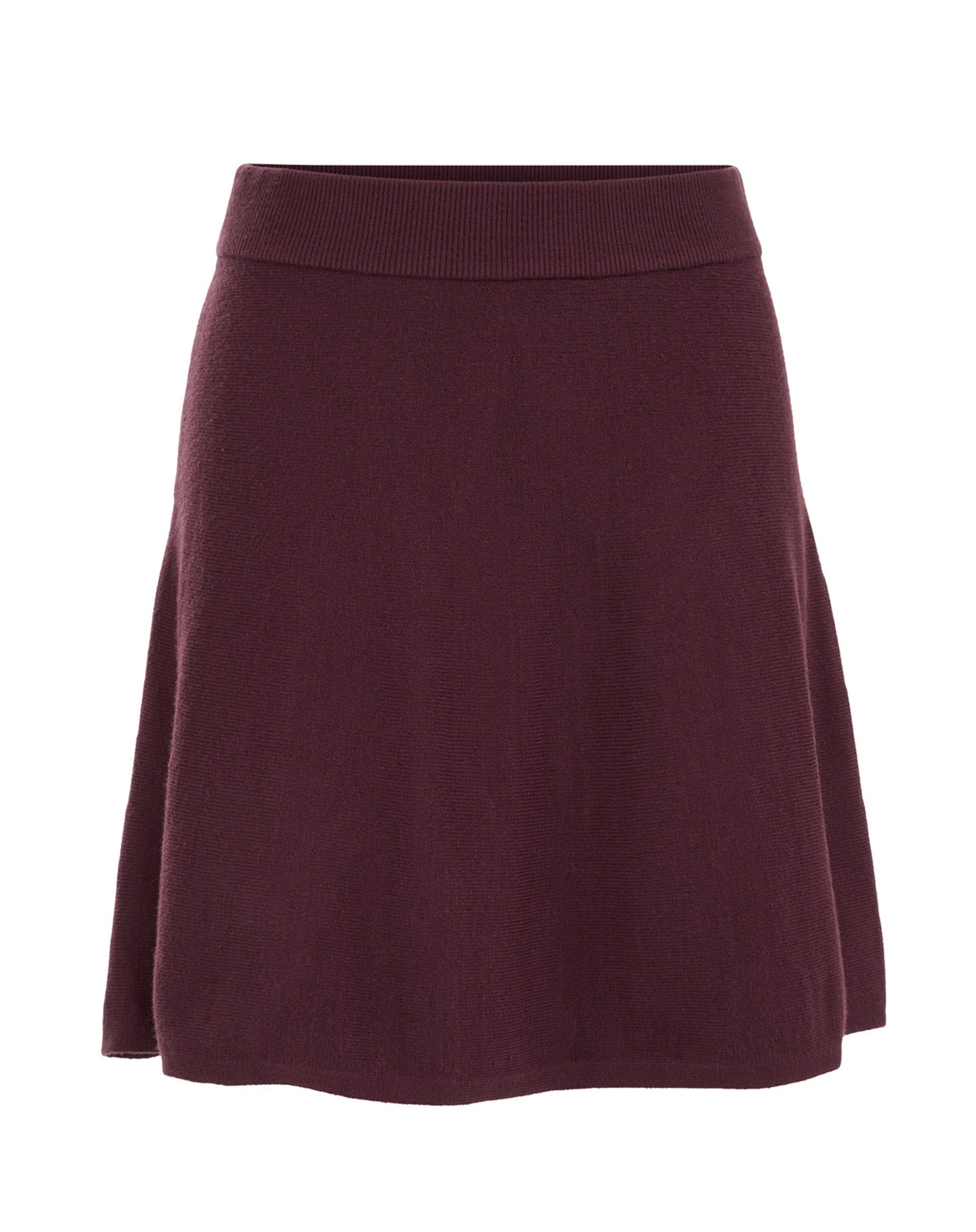 WE Fashion Skirt in Purple: front
