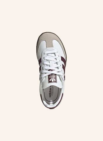 Baskets 'Samba' ADIDAS ORIGINALS en blanc