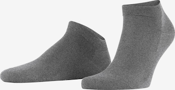 FALKE Socken 'ClimaWool' in Grau: Vorderseite