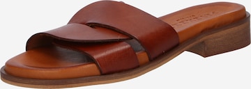 PAVEMENT Mules 'Riley' in Brown: front