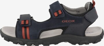 GEOX Sandale A\' YOU S. in \'J Strada Grau | ABOUT