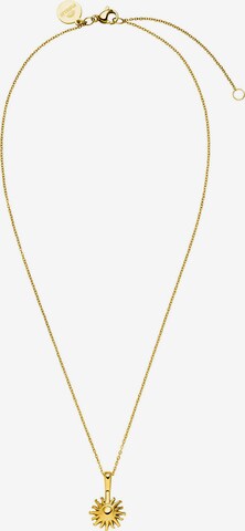 PURELEI Jewelry in Gold: front