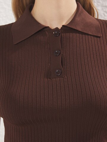 Trendyol Свитер в Коричневый