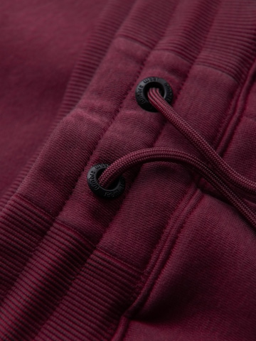 Ombre Regular Sports trousers in Red