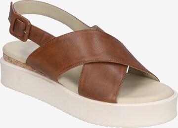 GERRY WEBER Strap Sandals 'Cervo 01' in Brown