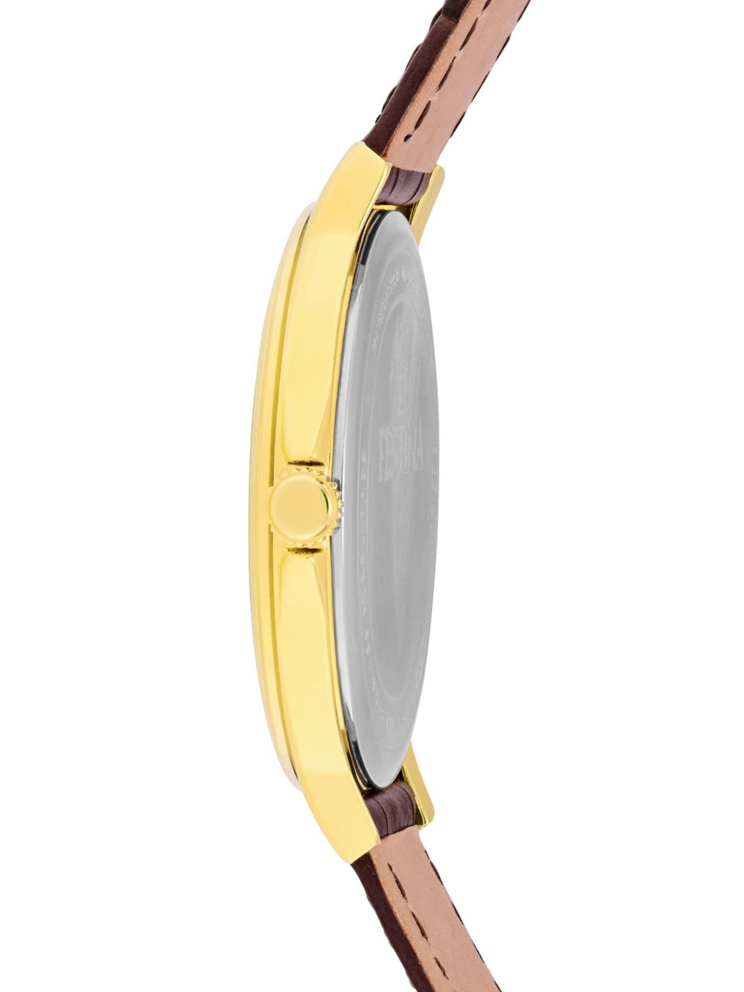 FESTINA Analogové hodinky 'Date watch Classics' – bílá