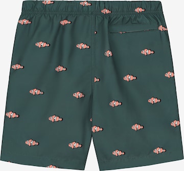 Shorts de bain Shiwi en vert