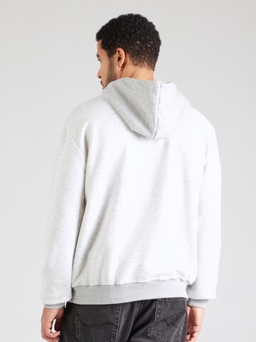 HOLLISTER Sweatshirt in Grau