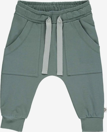 Loosefit Pantaloni '' di Müsli by GREEN COTTON in verde: frontale