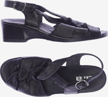 Högl Sandalen 37 in Schwarz: predná strana