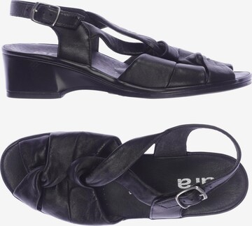 Högl Sandals & High-Heeled Sandals in 37 in Black: front