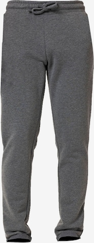 Williot Tapered Housut värissä harmaa: etupuoli