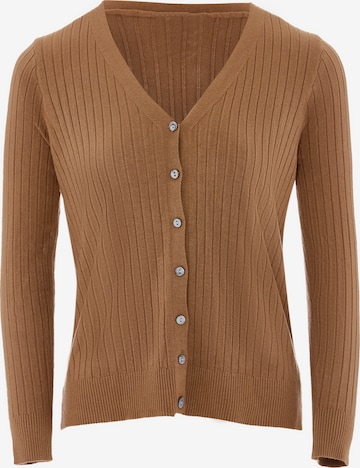 ZITHA Knit Cardigan in Brown: front