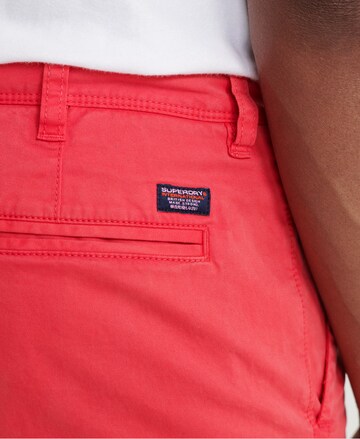 Superdry Regular Chino in Rood