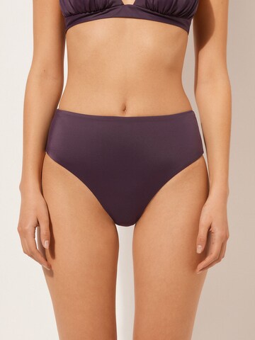 CALZEDONIA Bikini Bottoms in Purple: front