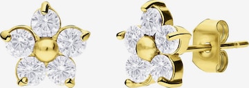 Lucardi Oorbellen in Goud: voorkant