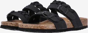 Cruz Sandals 'Sapta' in Mixed colors