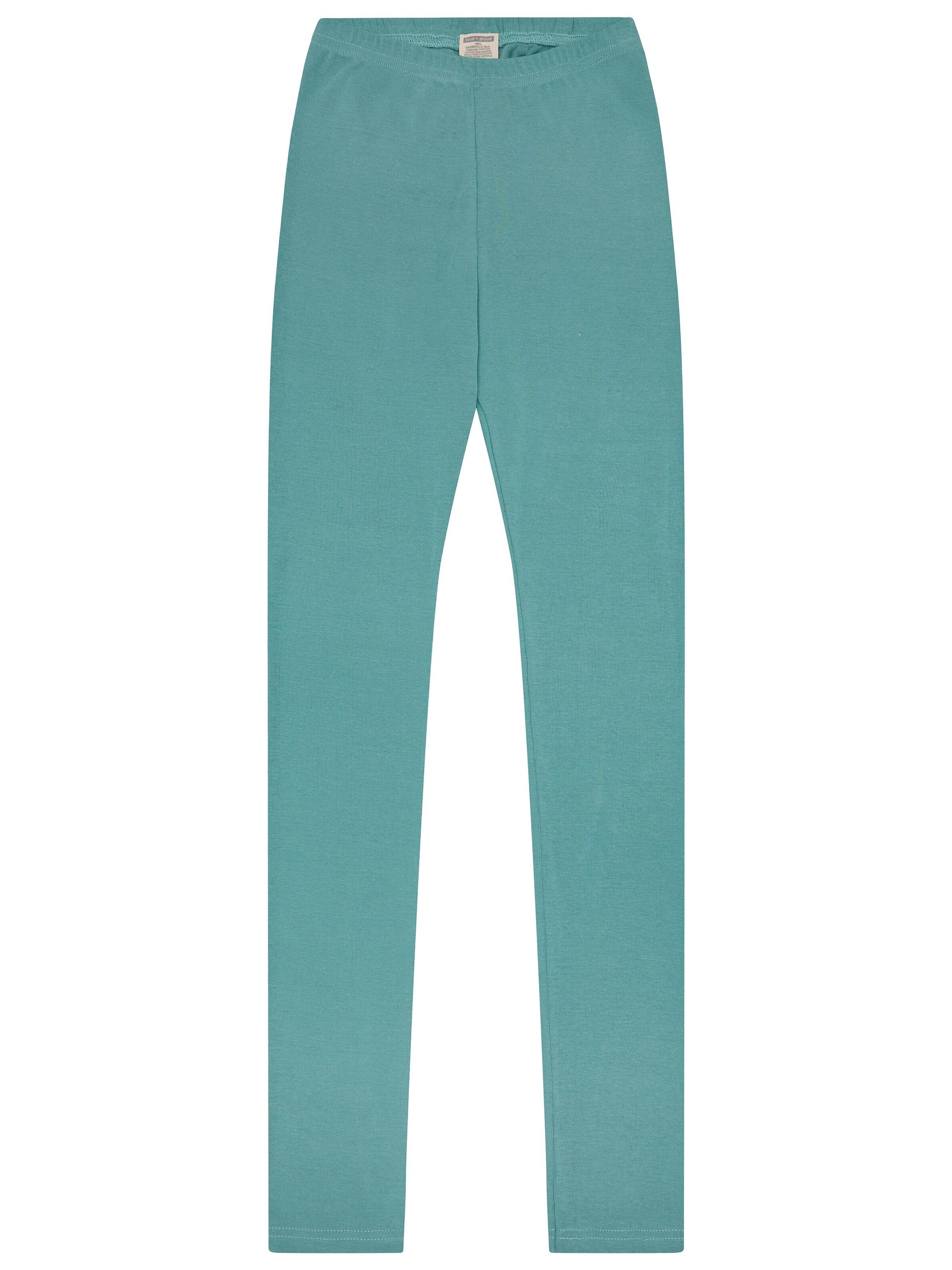 loud + proud Leggings in Green: front