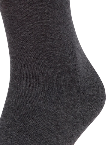 FALKE Socks 'Run' in Grey