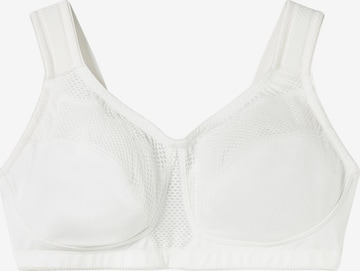 SHEEGO Sports Bra in White: front