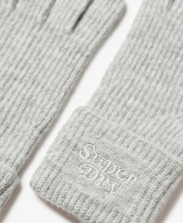 Superdry Vingerhandschoenen in Grijs