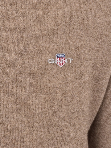 GANT Shirt in Brown