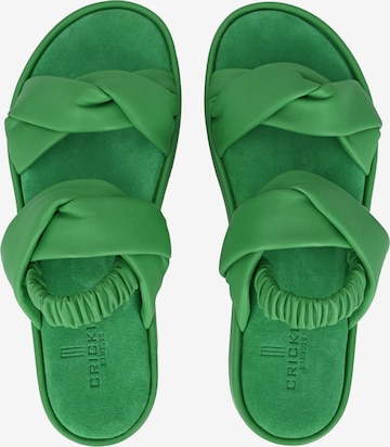 Crickit Sandalen met riem 'JANEKE' in Groen