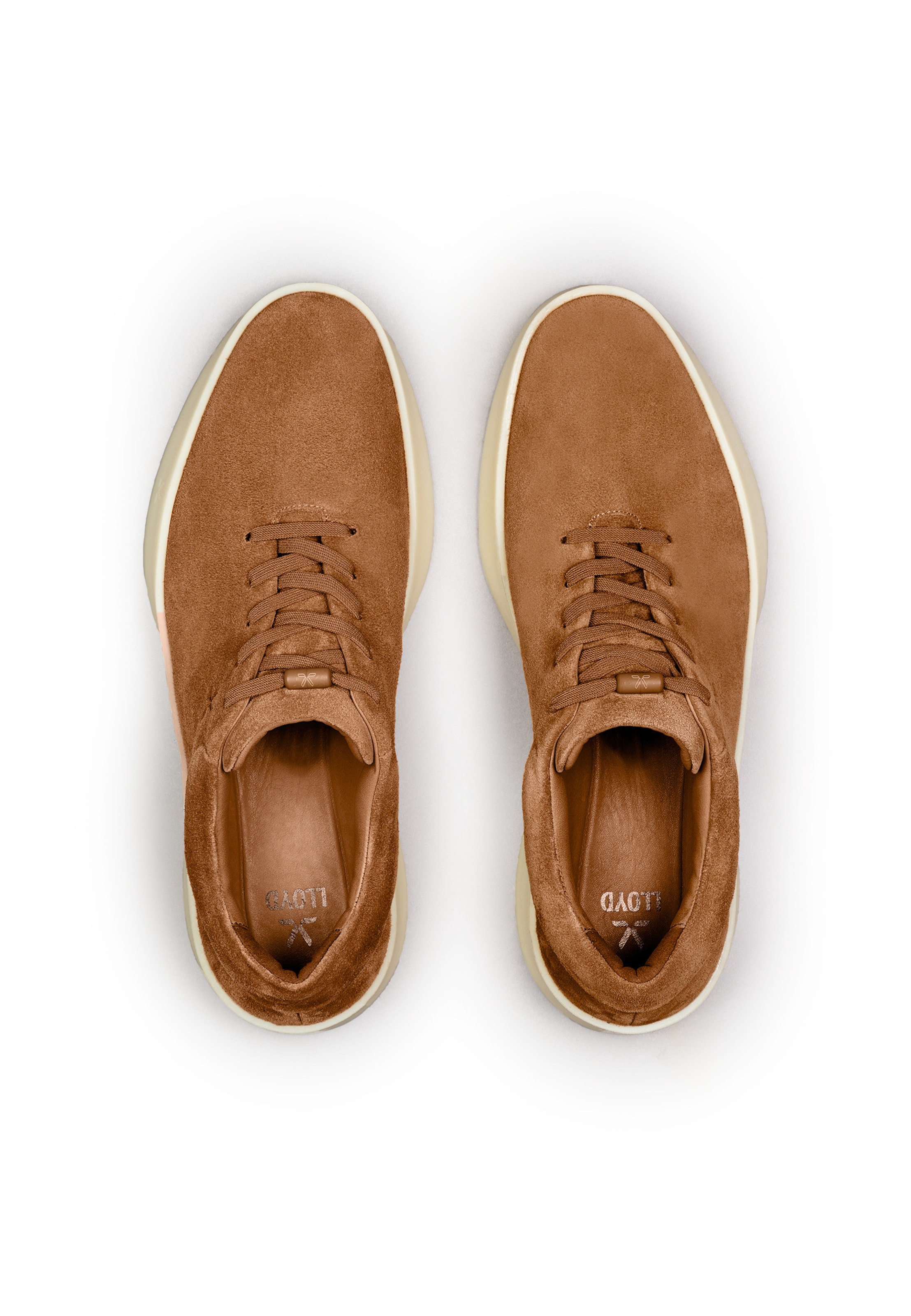 LLOYD Sneakers 'STUDIO ERA' in Brown
