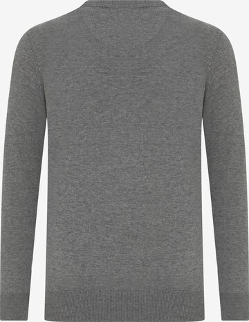 DENIM CULTURE - Pullover 'Leroy' em cinzento