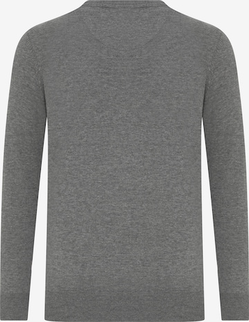 DENIM CULTURE Sweater 'Leroy' in Grey