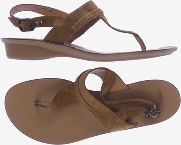 Paul Green Sandals & High-Heeled Sandals in 39,5 in Brown: front