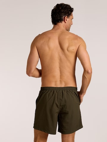 wavebreaker Board Shorts in Green